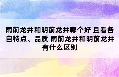 雨前龙井和明前龙井哪个好 且看各自特点、品质 雨前龙井和明前龙井有什么区别